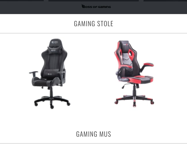 Køreklar dropshipping webshop med dag til dag levering!