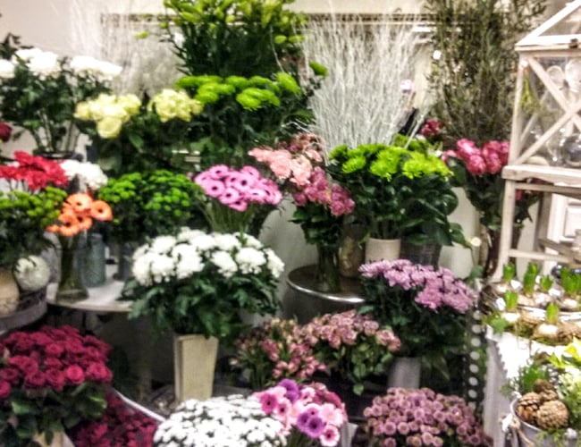 Unik Blomsterforretning i stærk fremdrift sælges. Få julehandlen med ved hurtig handel