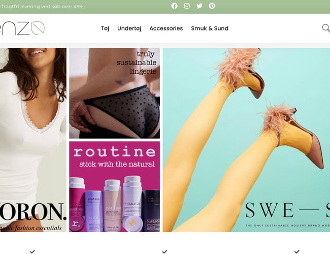 Webshop med grøn profil - Budgetteret omsætning 2021: 200.000 kr.