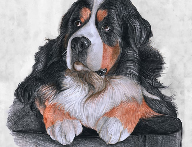 balderdesign.dk - Flot website med kunst på bestilling 