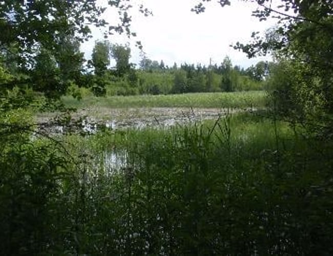 Dansk  ejere som ejer en LETISK ejendom selskab i Letland til salg