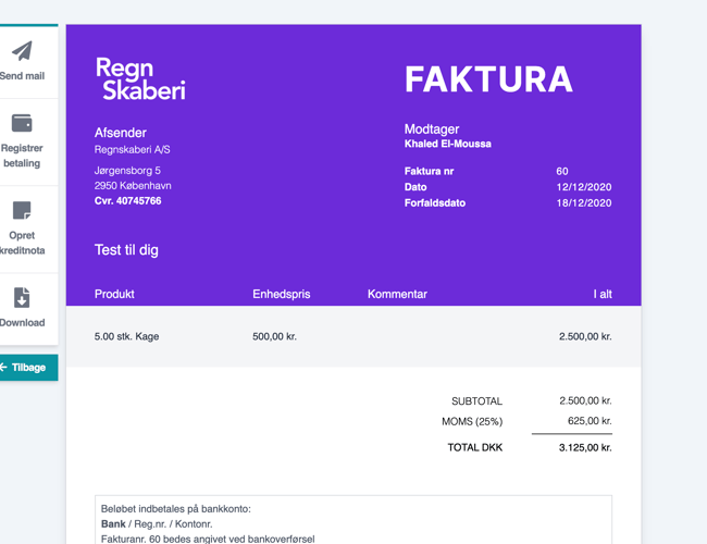 Regnskabsprogram til salg