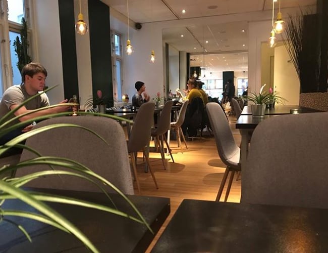 Nystartet vegansk burgerkoncept - Mdl. omsætning 375.000-500.000