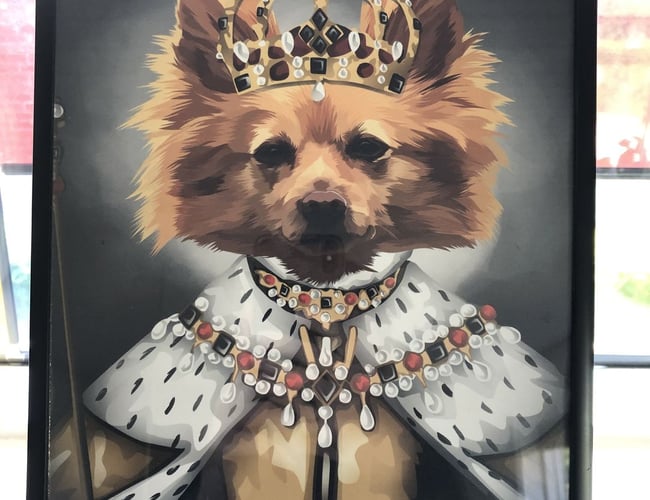 SJOVPLAKAT.DK til salg 