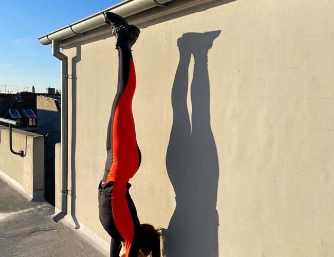 Bæredygtigt Activewear med Webshop.