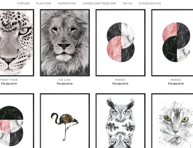 Plakat webshop med unikt navn og dropshipping aftale