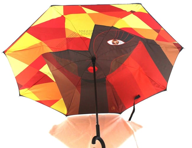 Pippifashion.dk - Webshop med farverige paraplyer - Omsætning i 2021 omkring 200.000 kr