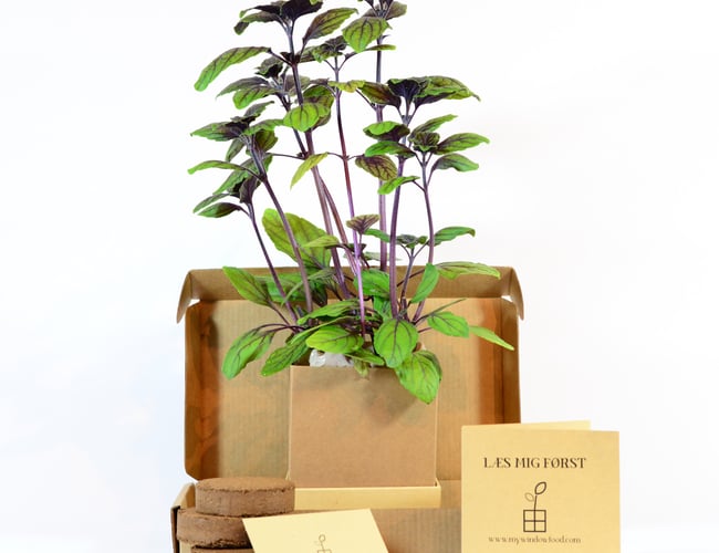 Mywindowfood ApS (Webshop) - Dyrk urter og grøntsager i din vindueskarm på abonnement (FLYTBAR virksomhed)