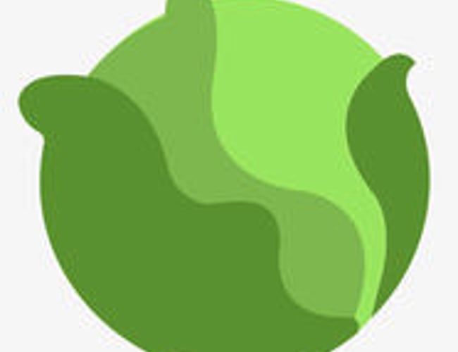 Veggo.dk - Vegansk/vegetar app i voksende marked