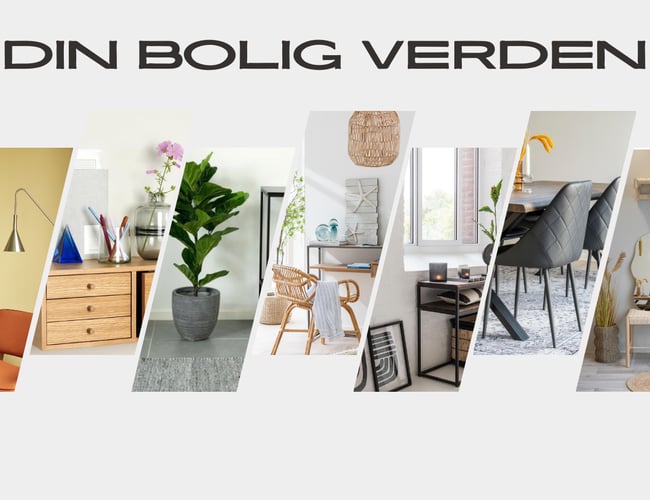 Veletableret dropshipping webshop!!