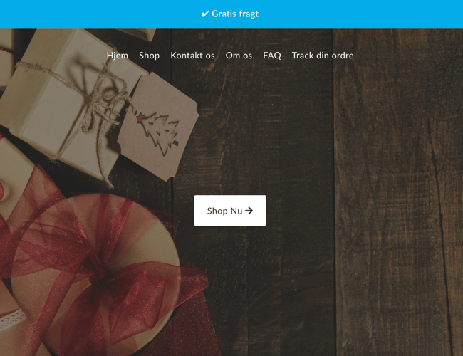 Dropshipping butik med omsætning