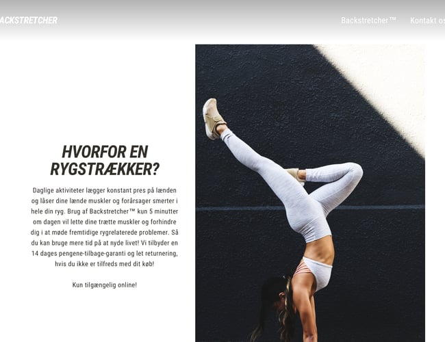 Hurtig voksende one product webshop - Omsætning på over 1.000.000 de første  3 måneder