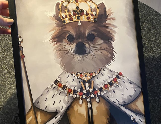 SJOVPLAKAT.DK til salg 