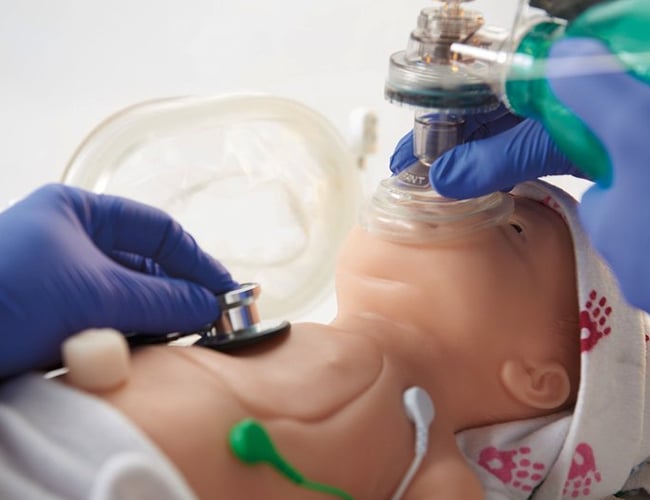 Webshop med enerets dropshipping aftale fra tysk producent - Anatomiske modeller og meget mere