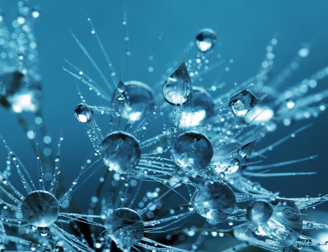 Nanoteknologisk projekt - ApS medfølger - Sælges til egenkapitalens værdi kr. 50.000,- 