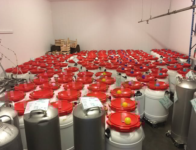 Brygselv / Brygevent bryggeri koncept sælges.