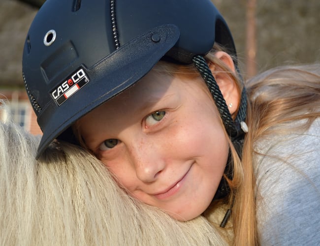 Turridningsvirksomhed med Islandske heste sælges