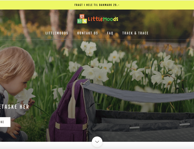 Klargjort Dropshipping Webshop med salg af Pusletaske/bord
