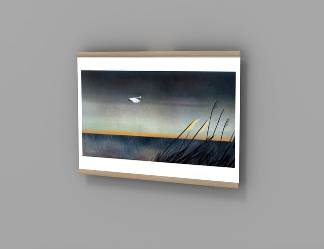 Salg af 5000+ plakater