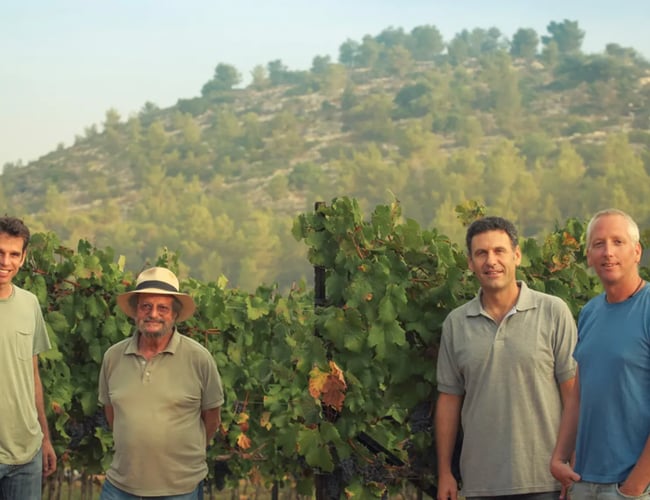 Online vin og deli butik til salg