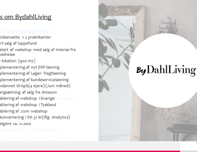 Webshop i 4 lande sælges (under konkurs)